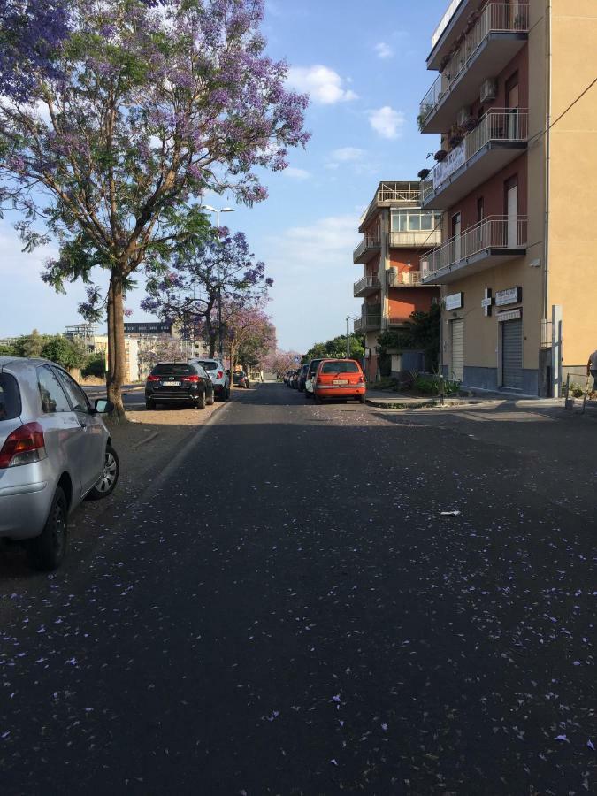 B&B Policlinico Gaspare Rodolico CTA Eksteriør billede